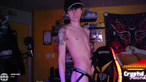 CryptidTwink online show from February 2026 06:53:01 AM