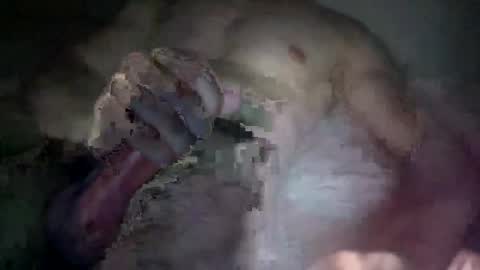 Snapshot of csleddin29 chatting on January 2025 07:11:01 PM csleddin29 online show from January 2025 07:11:01 PM