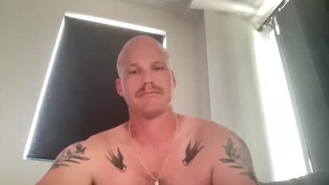 ct250787 online show from November 2025 06:04:02 AM