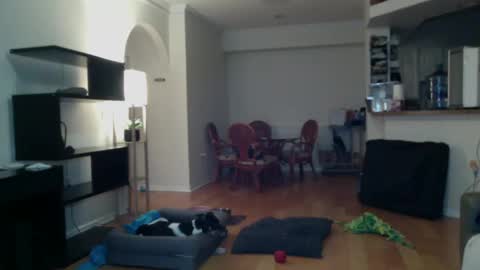 cumfiesta1 online show from February 2025 04:22:01 PM