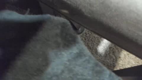 Snapshot of cums_alot_4u2 chatting on January 2025 06:09:01 PM Cums alot 4u2 online show from January 2025 06:09:01 PM