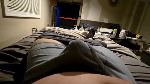 cumvet online show from January 2025 10:44:02 PM