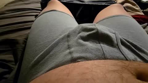 cumvet online show from September 2025 10:48:02 PM