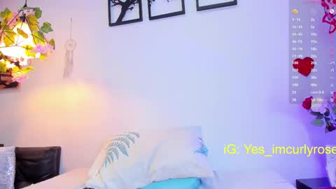 Rose online show from February 2025 08:54:01 PM