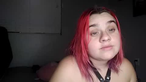 Lucifina ganja kittens online show from December 2024 08:02:01 AM