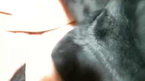 Snapshot of cutandwaxed2 chatting on March 2025 11:27:01 PM BI SMOOTH MATURE  SUB online show from March 2025 11:27:01 PM