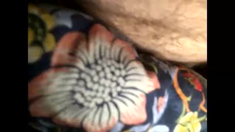 Steve online show from January 2025 07:04:01 AM