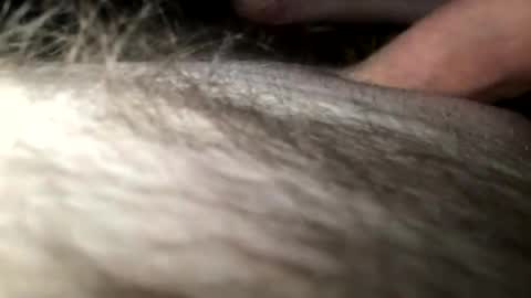 Steve online show from January 2025 04:18:02 AM