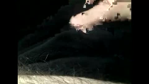 Steve online show from February 2025 05:50:02 PM