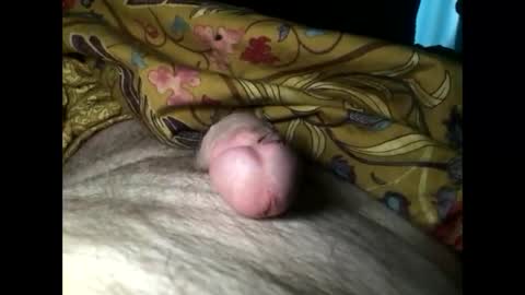 Steve online show from March 2025 07:21:02 AM