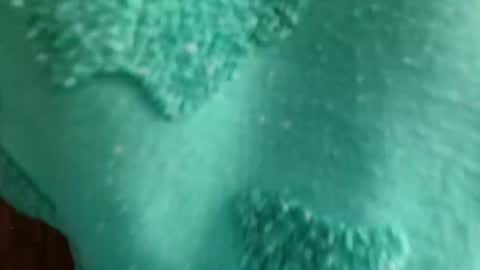 cutebuu online show from November 2025 08:51:01 PM