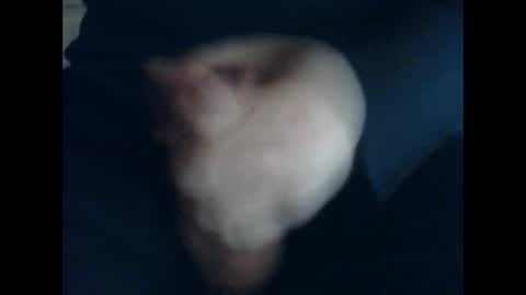 CutieBoy online show from October 2025 11:44:01 AM