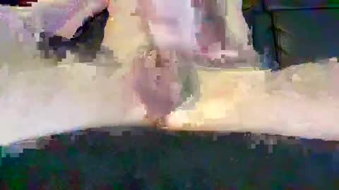 Snapshot of cwaddle chatting on February 2025 03:48:02 PM cwaddle online show from February 2025 03:48:02 PM