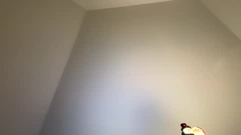 Snapshot of dachdecker7269 chatting on February 2026 05:11:01 AM dachdecker7269 online show from February 2026 05:11:01 AM