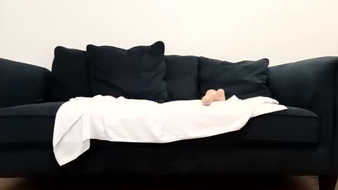 Kasey Xdresser online show from February 2026 03:56:02 PM