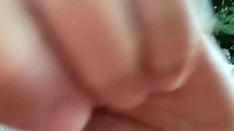 Snapshot of daddydick926 chatting on September 2025 01:22:02 PM daddydick926 online show from September 2025 01:22:02 PM