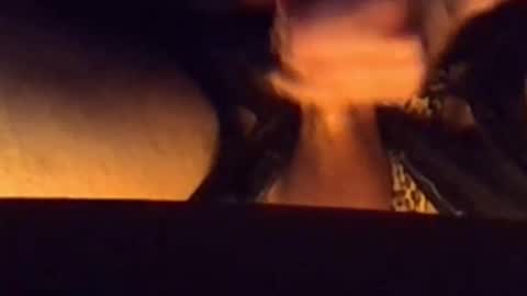 daddypervbuttprincess online show from February 2026 05:56:01 PM