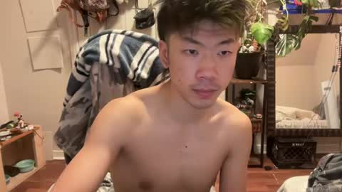daggerpapi online show from August 2026 06:34:01 AM