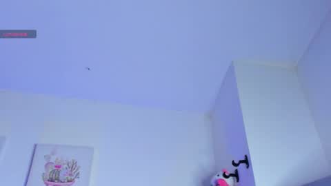    online show from February 2025 02:03:02 PM