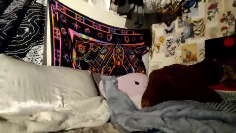 Snapshot of daintydarlingxoxo chatting on February 2025 06:48:02 PM DaintyDarling online show from February 2025 06:48:02 PM