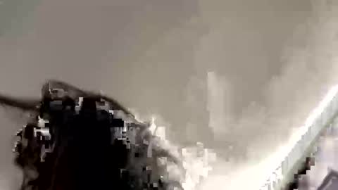 Snapshot of daisy0uo chatting on October 2025 04:44:02 AM Cc online show from October 2025 04:44:02 AM