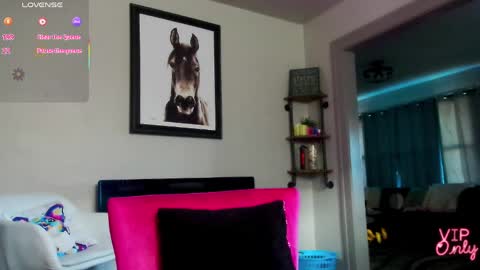 Daisy online show from March 2026 01:00:01 PM