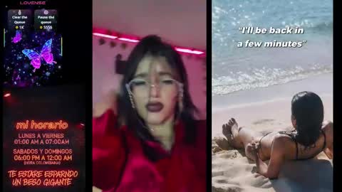 Dakko online show from February 2026 09:08:01 AM