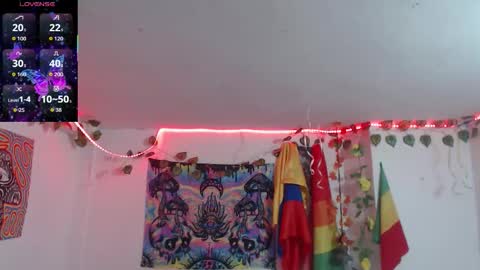 Dakko online show from February 2026 07:26:01 AM