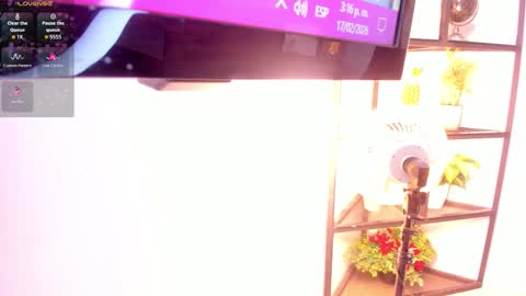 Snapshot of dakotadesire_10 chatting on February 2026 08:15:01 PM Sammy online show from February 2026 08:15:01 PM