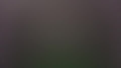 dallasjmg online show from February 2026 10:19:02 PM