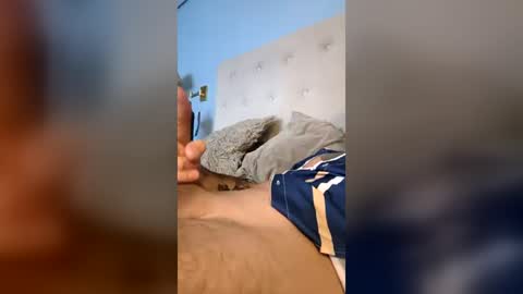 damianberr87 online show from July 2026 05:16:01 PM