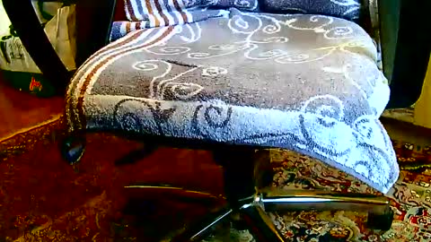 Dammerl online show from January 2025 01:24:02 PM