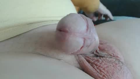 Snapshot of damocles01 chatting on October 2025 12:49:02 PM Damocles online show from October 2025 12:49:02 PM