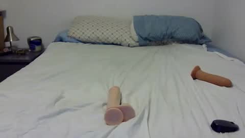 Snapshot of dandyhandys chatting on December 2024 05:04:02 AM Andy online show from December 2024 05:04:02 AM