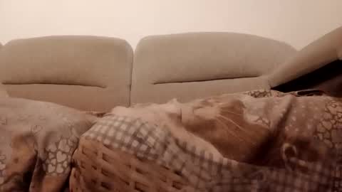 Snapshot of dani225812 chatting on November 2025 07:21:01 PM Dani225812 online show from November 2025 07:21:01 PM