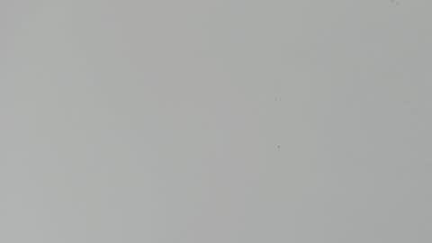 Snapshot of daniel_kingxxx chatting on March 2026 12:34:01 PM daniel_kingxxx online show from March 2026 12:34:01 PM