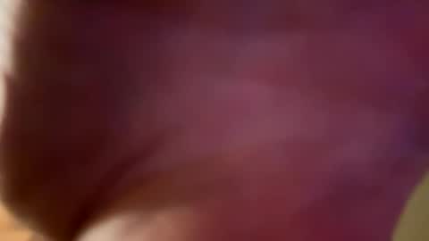 Snapshot of danielartbigd chatting on December 2024 08:37:02 AM Daniel online show from December 2024 08:37:02 AM