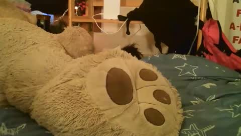 DANIELA online show from March 2026 02:42:01 PM