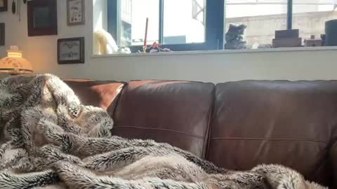 Daniel Bishop  Mason online show from March 2026 08:00:01 PM