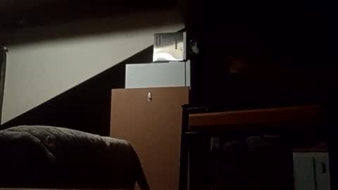 danieldayz online show from November 2025 10:58:02 AM