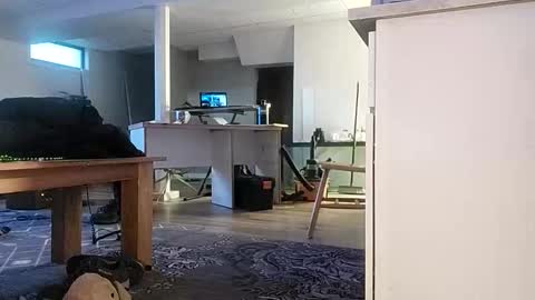 danimal5000 online show from November 2025 03:07:02 PM