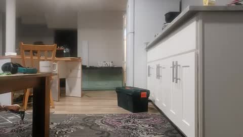 danimal5000 online show from November 2025 04:00:02 PM