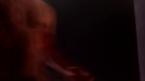 daniwood473904 online show from April 2026 03:38:01 AM