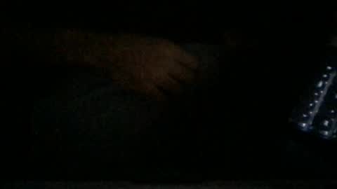 Snapshot of danjohnny3000 chatting on December 2024 09:40:02 PM jerking off secretly edging talk dirty to me so i stroke harder online show from December 2024 09:40:02 PM