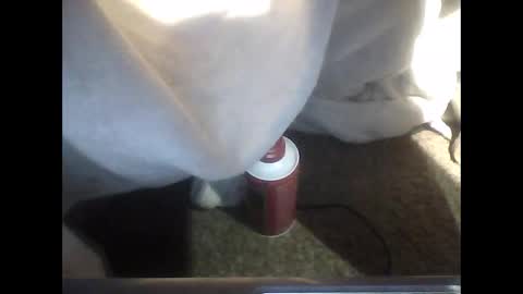 TheDude online show from December 2025 03:57:01 AM