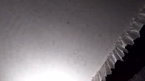 dannowisc online show from April 2026 02:45:01 AM