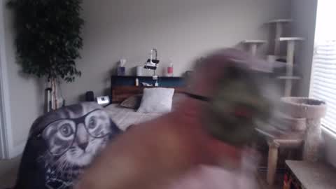 Danny bear online show from December 2024 03:00:02 PM