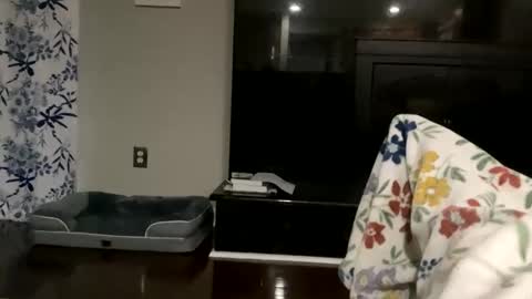 dannyboy621 online show from October 2025 11:24:01 AM