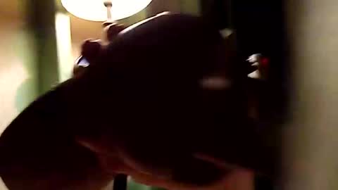 dano9696 online show from November 2025 10:28:02 AM