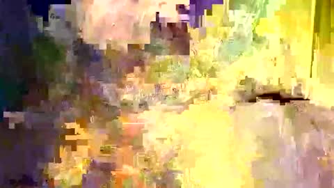 dano9696 online show from December 2025 06:22:02 AM